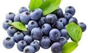 蓝莓的中医药性味归经、药用价值及营养价值