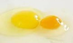 乌鸡蛋的中医药性味归经、药用价值及营养价值