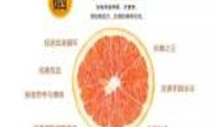 血橙的中医药性味归经、药用价值及营养价值
